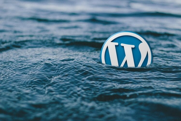 WordPress is a content management system(CMS) based on PHP and MySQL. WordPress is used by more than 60 million websites, including 33.6% of the top 10 million websites.